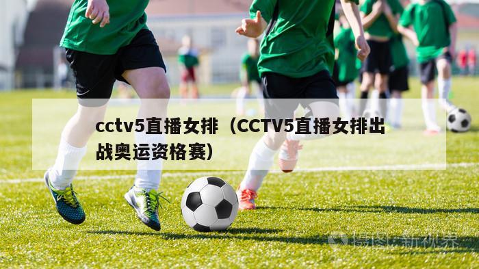 cctv5直播女排（CCTV5直播女排出战奥运资格赛）